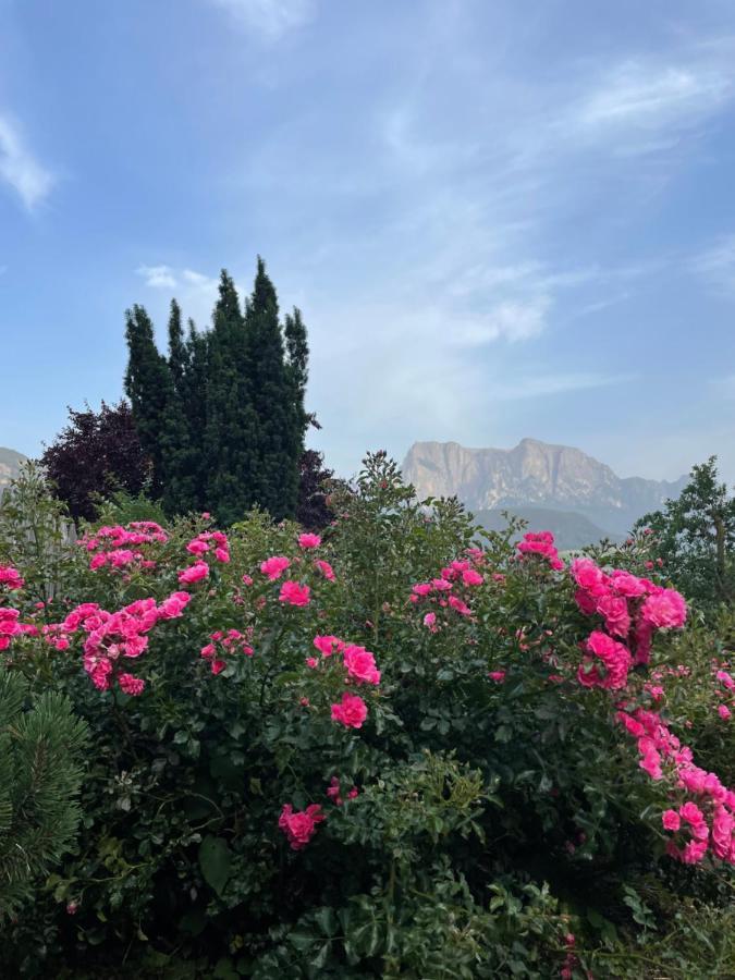 ברביאנו Gasserhof מראה חיצוני תמונה
