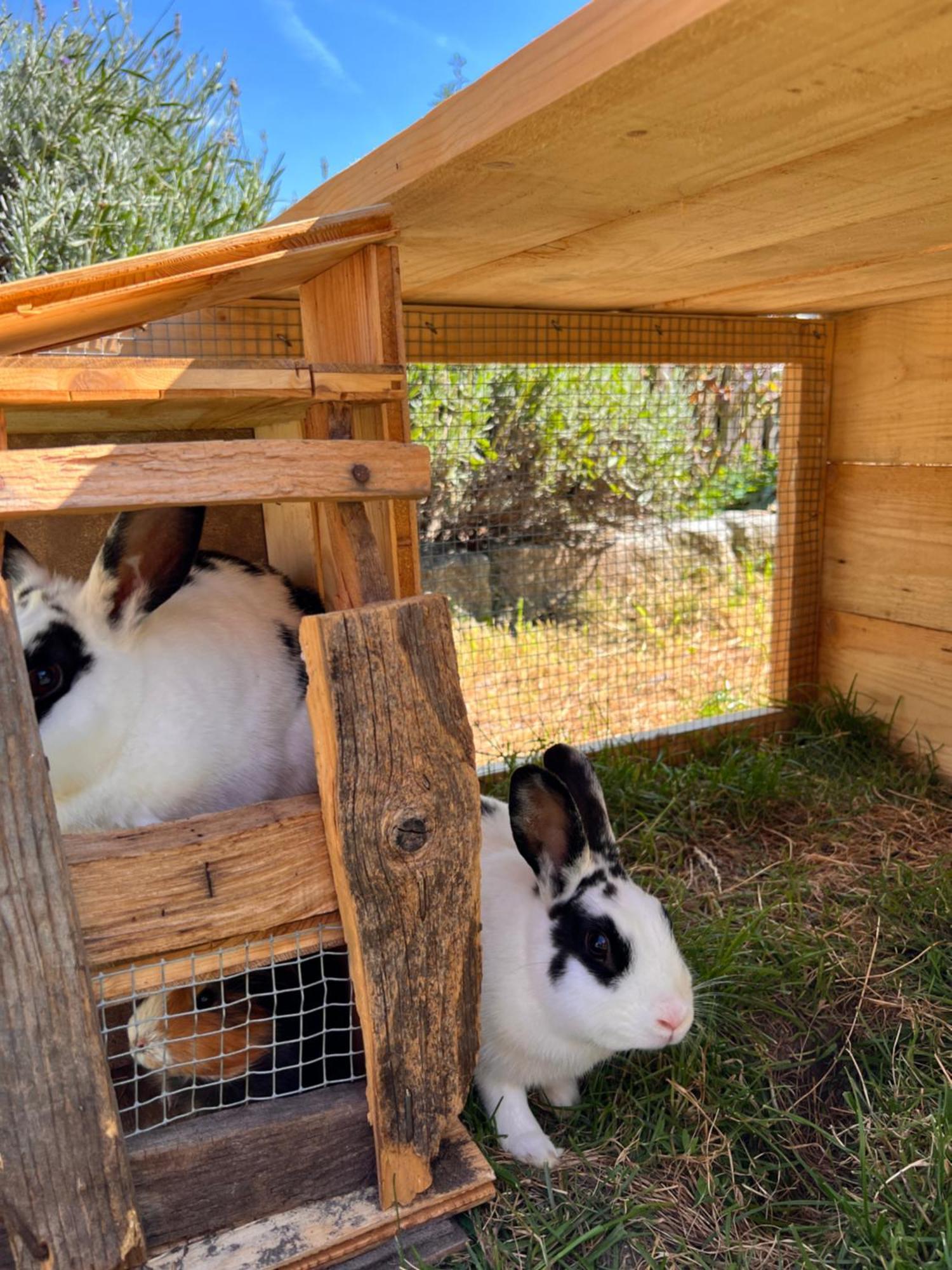 ברביאנו Gasserhof מראה חיצוני תמונה